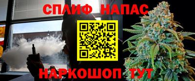 гашик Гусь-Хрустальный