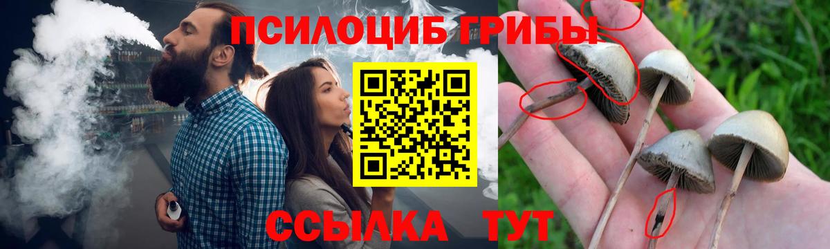 Галлюциногенные грибы мухоморы  Вход с VPN  Петровск  Галлюциногенные грибы Psilocybine cubensis 